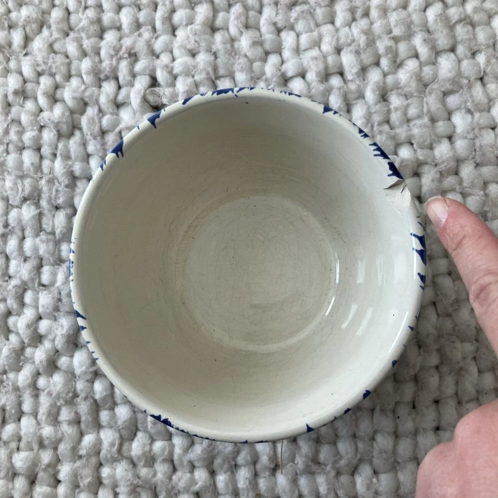 Pottery Barn Sponge Ware Pottery Bowl Spatterware Farmhouse Chip‎